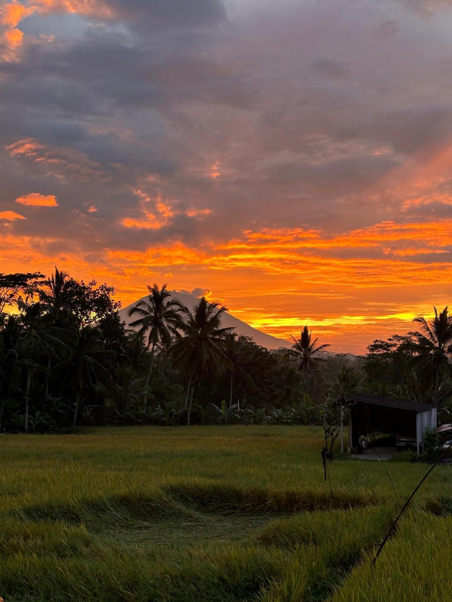 Aditara Sebatu Villa Ubud Eksteriør billede
